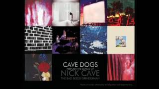 As I sat Sadly (by her side) - Cave Dogs performing Nick Cave & The Bad Seeds cover