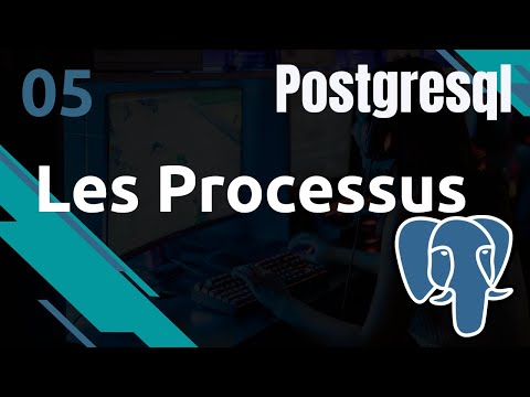 PostgreSQL 5 Fonctionnement les processus | tutos fr