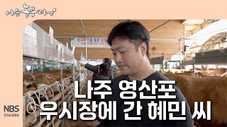 [나는농부다 300회] 나주 영산포 우시장에 간 혜민 씨