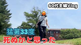 【60代の無謀な挑戦】体力作りで命の危険?一時帰国の航空券代が高すぎて絶句...今後の動画投稿について/シニアライフ60代/節約主婦/アメリカ生活