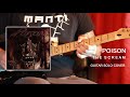 POISON - The Scream (Guitar Solo Cover)