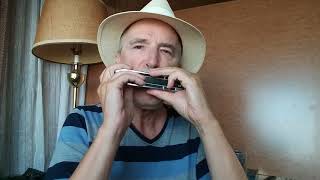 Manhã de Carnaval (harmonica)