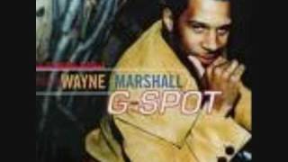 wayne Marshall - Give me the mix