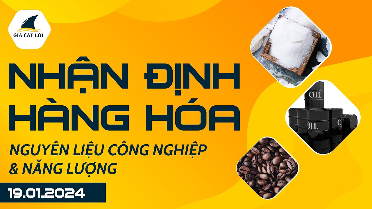 Nhận Định Hàng Hoá Năng Lượng & Nguyên Liệu Công Nghiệp Ngày 19/01/2024