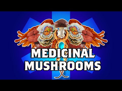 Benefits of Medicinal Mushrooms