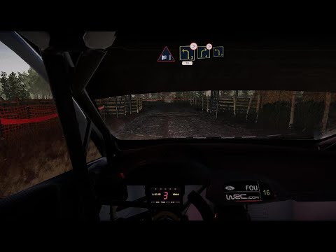 WRC 10 FIA  El Puma Reverse WR