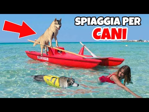 PRIMA VOLTA al MARE per il mio CUCCIOLO in una SPIAGGIA per CANI 🥹🐶❤️-BAU TOUR #4| MARTY E YUKO