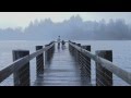 BOWERBIRDS- Tuck The Darkness In