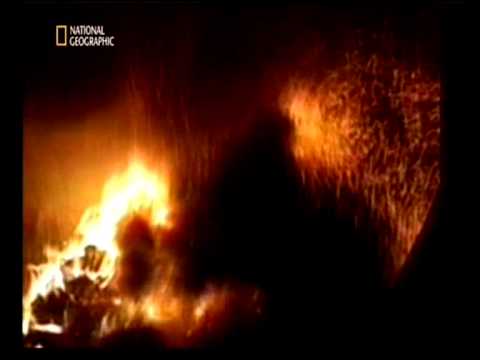 sekunden vor dem unglück - crash in den Everglades Teil 5