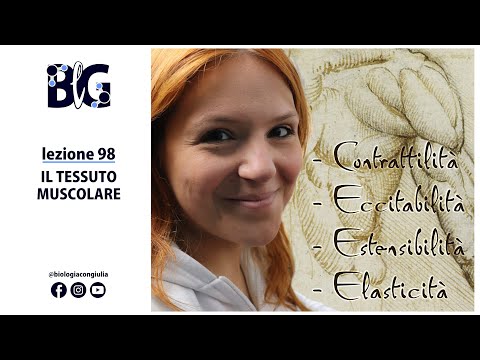 Il TESSUTO MUSCOLARE