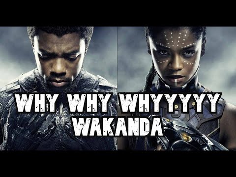 Wakanda Forever - This Film Makes No Sense