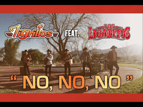 LOS TIGRILLOS Feat. LOS LIGADITOS | NO, NO ,NO