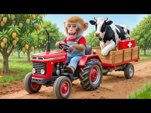 Monkey NaNa Mango Harvest Turns CHAOTIC When a Cow Steps on a Nail—His Genius Rescue SHOCKS All! 😱🐄