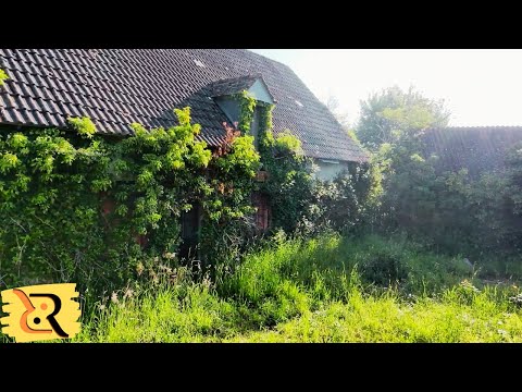 Uncovering the Forgotten Garden in our 200-year old Farm Ruin (Ep. 2)