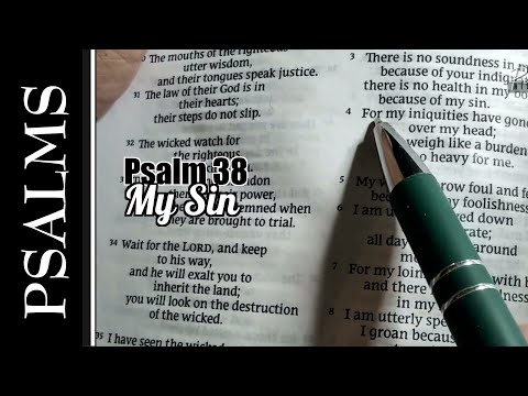 Cover image for YouTube video My Sin