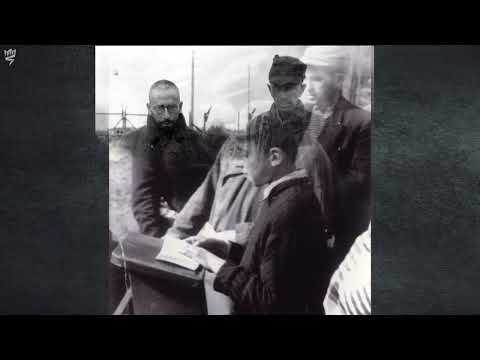 Holocaust Survivors' First Moments of Liberation