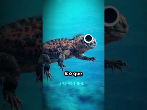 Os três animais que transformam o próprio esqueleto em arma para sobreviver