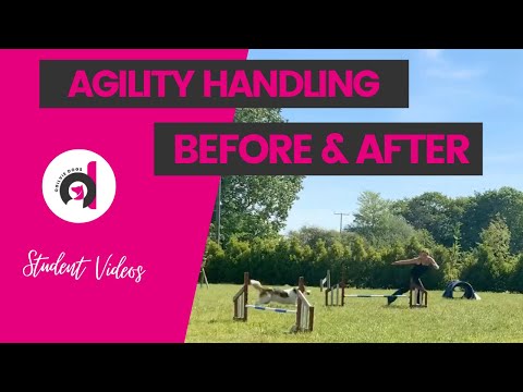 DOG AGILITY HANDLING: Learning new agility techniques inc blinds, germans, ketschkers & threadles!