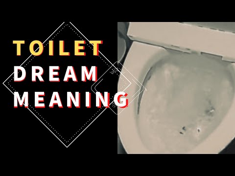 Dream about toilet: interpretation and meaning