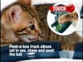 Видео о товаре Игровая дорожка для кошек Catit Design Senses / Hagen (Германия)