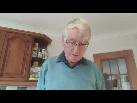 Chinese Copies - a Viola d'Amore and a Testore Violin