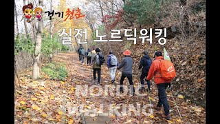 실전 노르딕워킹 - 용인자연휴양림 탐방