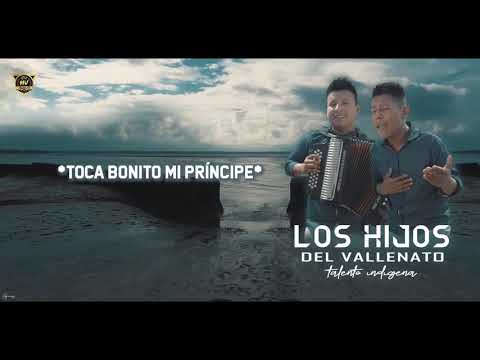 Desahogando Mi Dolor Letra - Los Hijos Del Vallenato Talento Indígena 2020