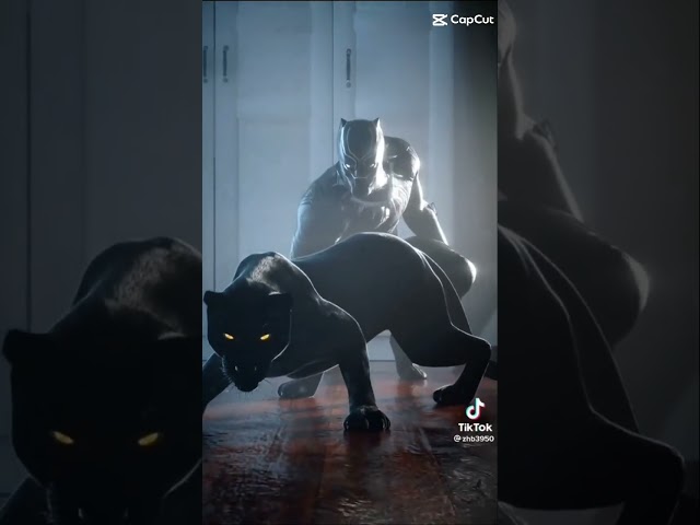Vídeo relacionado con Pijama corto de algodón de Batman, oficial, para hombre Negro Negro ( M