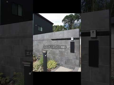 観賞用庭の幹-木-ペニア-紫がかった-バラ-赤