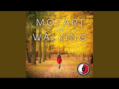 Don Giovanni, K. 527, Act I: Leporello's Aria - "Madamina il catalogo" (Instrumental Version)