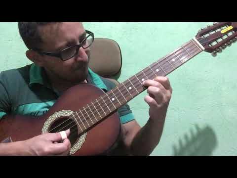 O Gavião E A Andorinha - Tião Carreiro e Pardinho