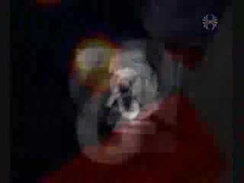 Upphalds íslenskar plötur útvaldra fagaðila