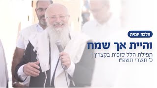 והיית אך שמח | הרב שמואל אליהו | הלכה יומית | כ׳ תשרי תשפ״ו | הלל סוכות בקצרין  (הרב שמואל אליהו) - התמונה מוצגת ישירות מתוך אתר האינטרנט יוטיוב. זכויות היוצרים בתמונה שייכות ליוצרה. קישור קרדיט למקור התוכן נמצא בתוך דף הסרטון