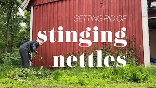 #1: How I removed stinging nettles in the abandoned garden - time lapse