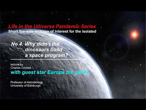 Why didn't the dinosaurs build a space program?