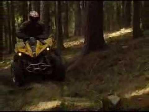 BQC Höchstädt ATV