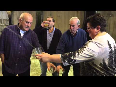 CATA PREVIA AL TXOTX DE 2016 / 2016ko TXOTX AURREKO DASTAKETA - Gurutzeta