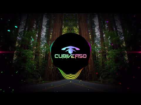 Javi Torres ft. Bellam Shine - Come With Me (Danny Costta Remix)