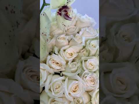 Deco Panda Flower Boxes