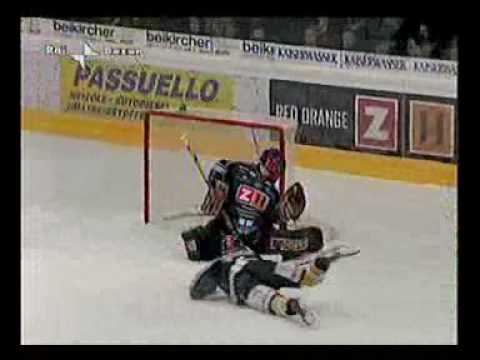 Wölfe gegen Füchse