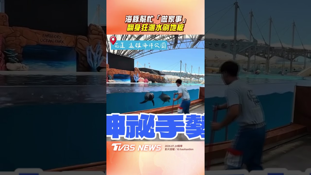 影音/工讀生出來!海豚幫忙「做家事」 照護員手勢一出灑水刷地