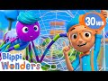 Blippi Wonders Learn About Spider Webs More Blippi Animated Series Kids Cartoon