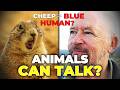 Animals Are Giving Us Weird Names