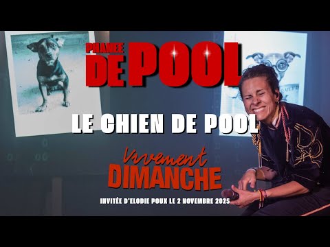 Le Chien de Pool (chez Michel Drucker)
