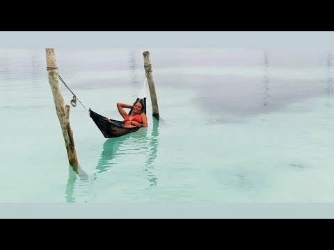 Comment préparer les lambis ? Ep. 16