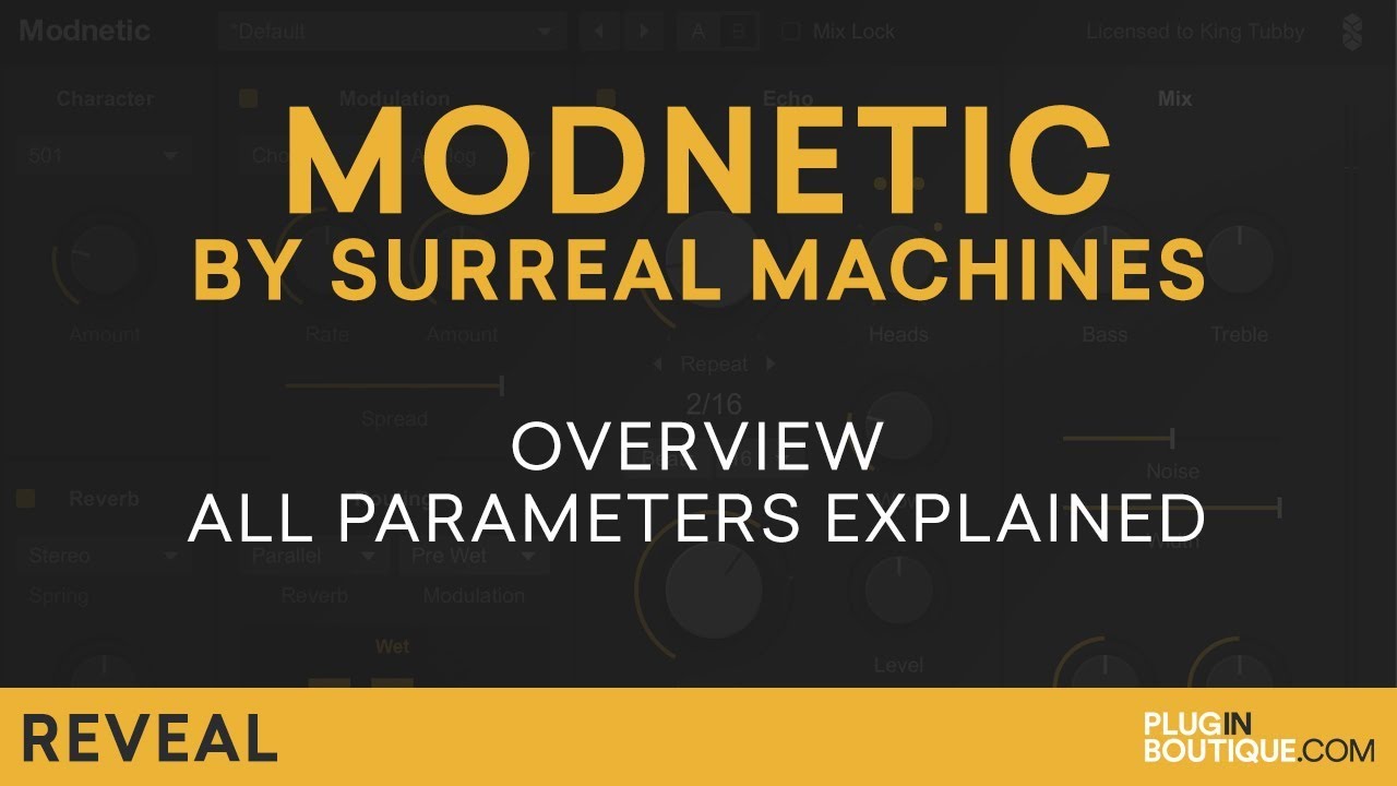 Modnetic thumbnail 1