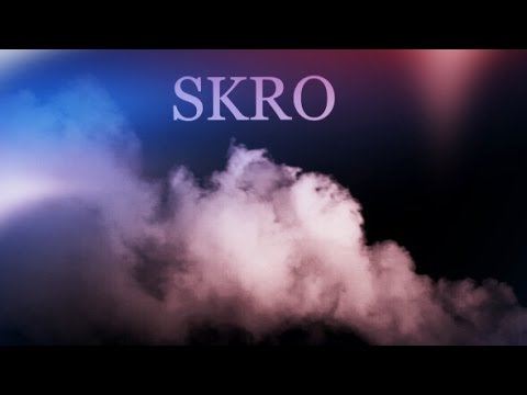SKRO Teamtage