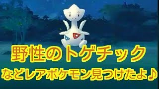 トゲチック ポケットモンスター ボスゴドラ レジロック ゴリランダー トゲチック ポケットモンスター ボスゴドラ レジロック ゴリランダー