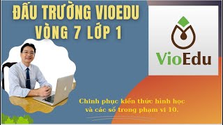 Vioedu vòng 7 | Chinh phục kiến thức về hình học