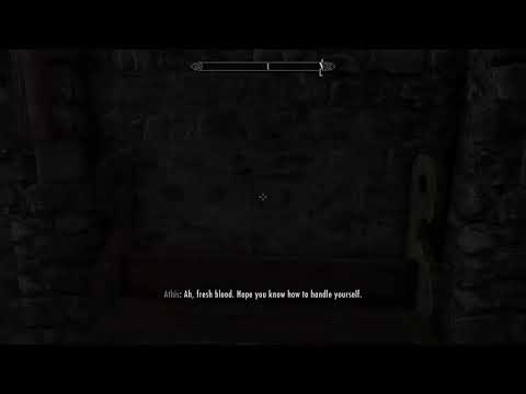 Serana Dialogue add on: Joining The Companions featuring Lucien Flavius and Auri.
